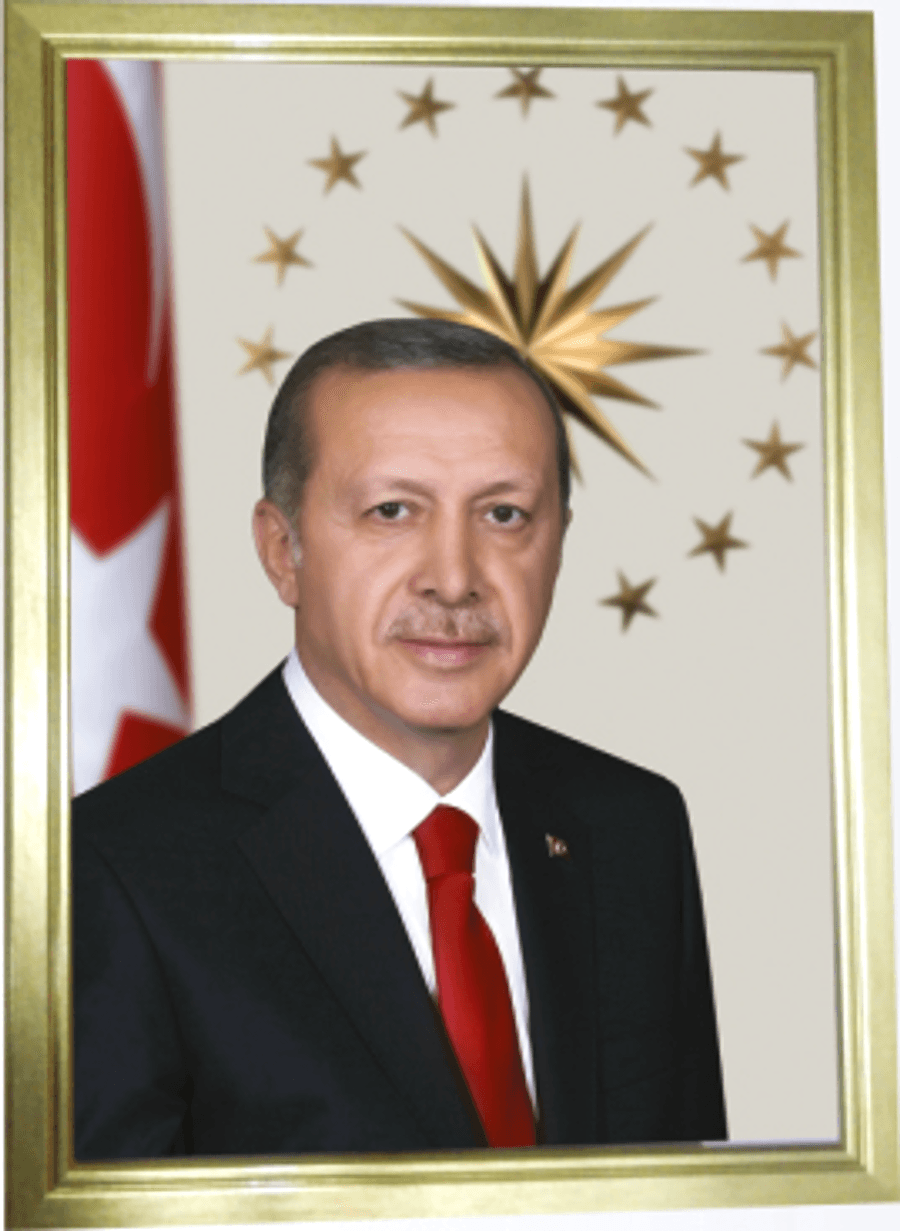 Cumhur Başkanı Özel Çerçeve
